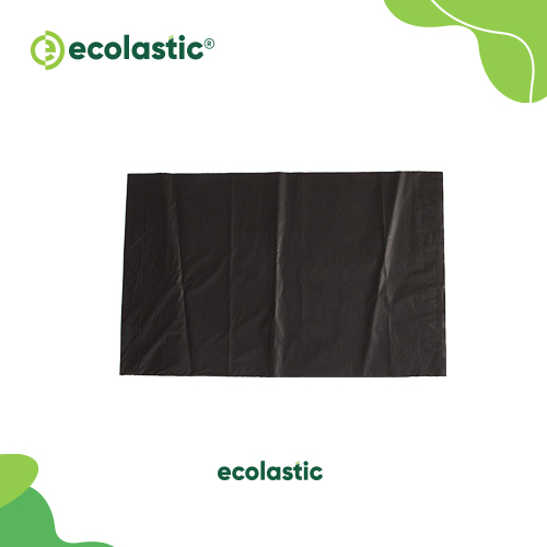 https://www.ecolastic.in/storage/product_images/23363_2024-01-08_15_55_22.jpg